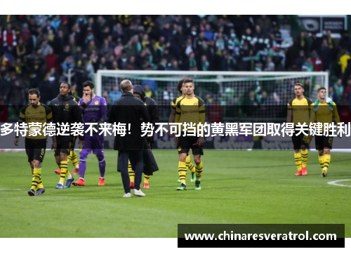 多特蒙德逆袭不来梅！势不可挡的黄黑军团取得关键胜利