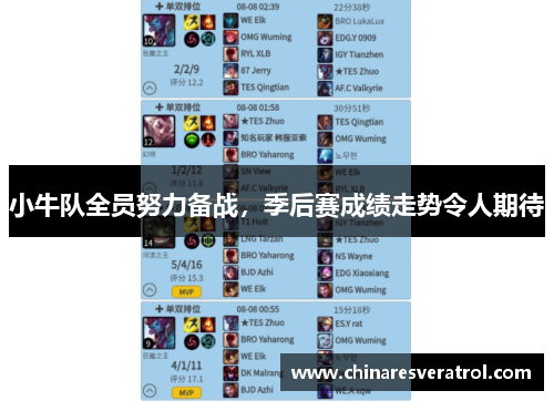 小牛队全员努力备战，季后赛成绩走势令人期待