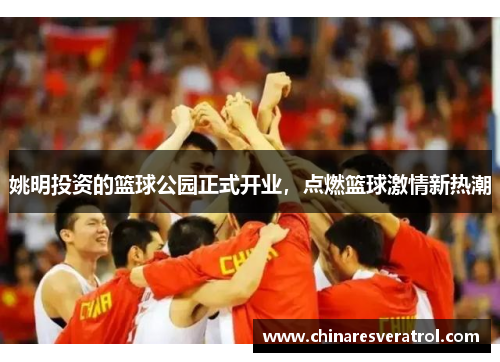 姚明投资的篮球公园正式开业，点燃篮球激情新热潮