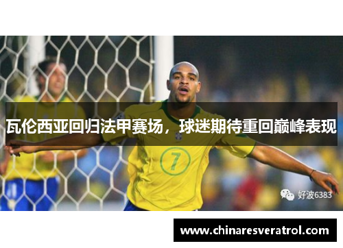 瓦伦西亚回归法甲赛场，球迷期待重回巅峰表现