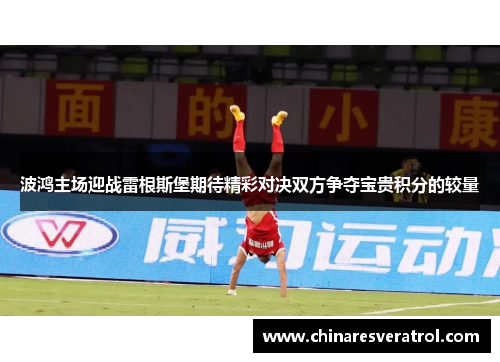 波鸿主场迎战雷根斯堡期待精彩对决双方争夺宝贵积分的较量