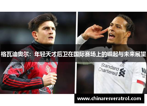 格瓦迪奥尔：年轻天才后卫在国际赛场上的崛起与未来展望